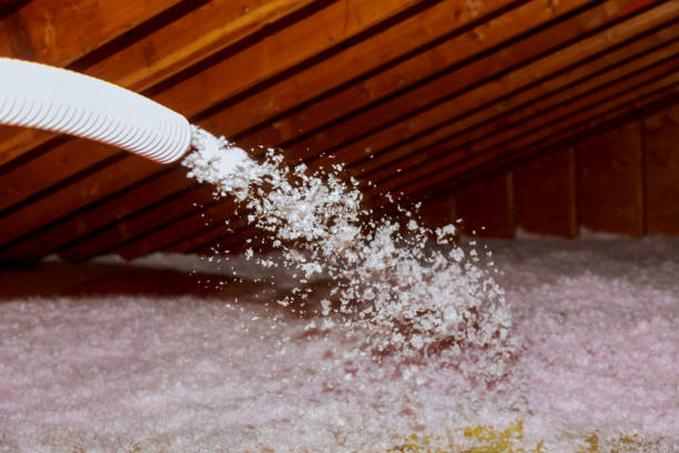 Best Spray Foam Insulation in Cane Savannah, SC