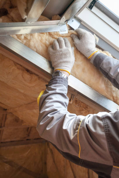 Best Eco-Friendly Insulation in Cane Savannah, SC